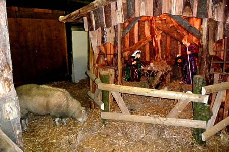De Krüff in'n Stall vun Bethlehem. Da warrt de lütten Esel boren un ok dat Jesuskind